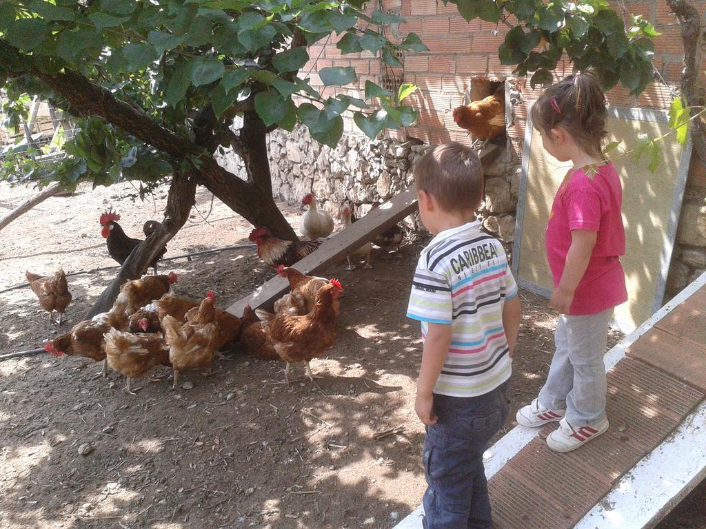 Pensjonat Can Gual Lametlla Del Valles Zewnętrze zdjęcie